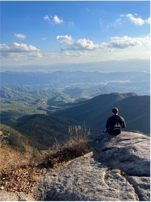 <p>Étudiant de dos devant un paysage naturel.</p>